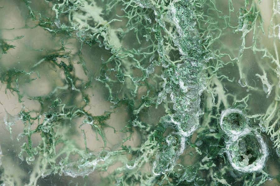 moss agate