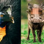 ugly animals