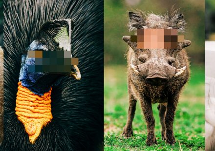 ugly animals