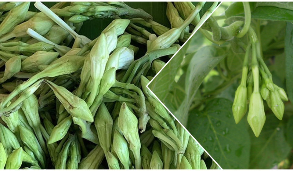 loroco