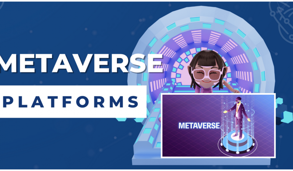 Metaverse Platforms