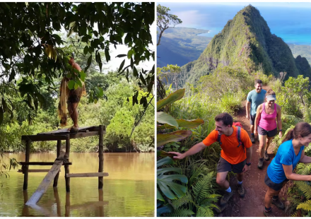 Natural Life Travel